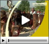 Klicken, um Video anzuschauen